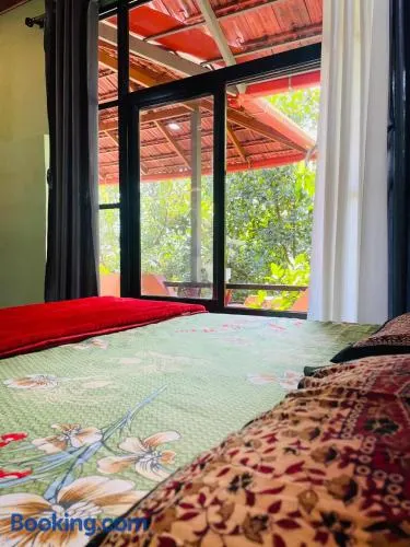 Under The Wind Tree - Homestay in Coorg - Image 1