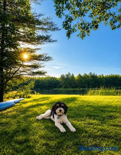 Serene Lakeside Oasis - 1.5 hrs from NYC Fast WiFi - Image 1