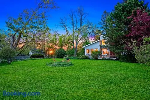 PRIVATE COTTAGE GETAWAY On LAKE SIMCOE - Image 1