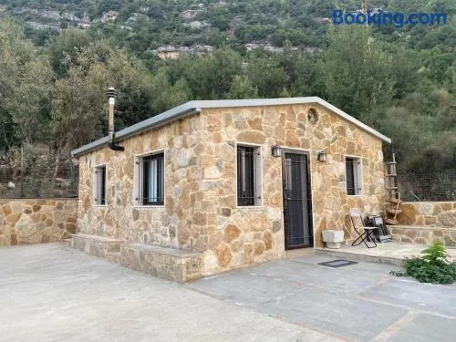 The happy house - Image 1