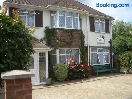 Ivy House - Image 1
