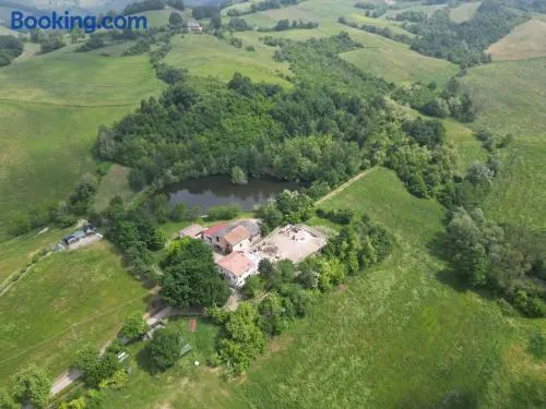 La Collina dei Conigli - immersi nella natura - Image 1