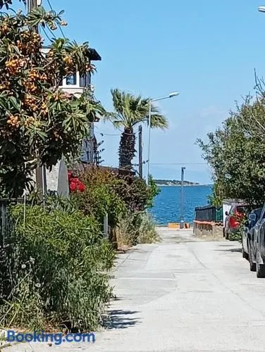 Dal urla - Image 1