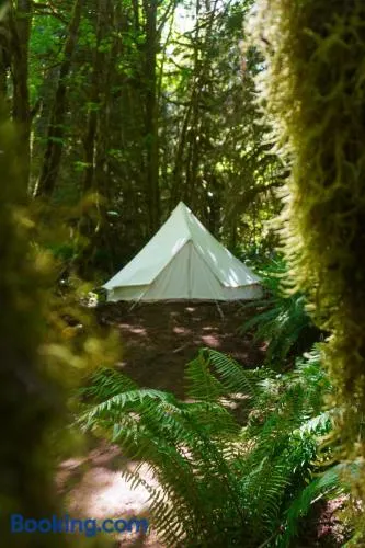 Wander Camp Olympic - Image 1