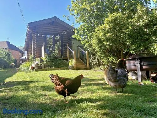 CABIN in hosts huge garden CHILD FRIENDLY with Hens Kittens firepit Marshmallows - Image 1