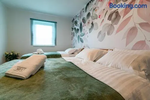 MIZU APARTMA VAS LIPA OLIMJE - Image 1