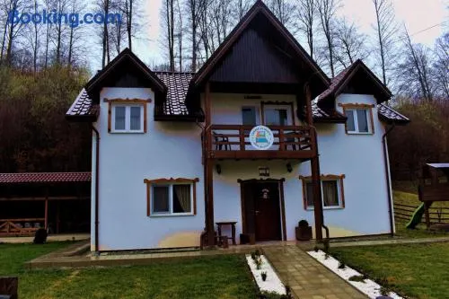 Casa Vanatorului Buzaiel - Image 1