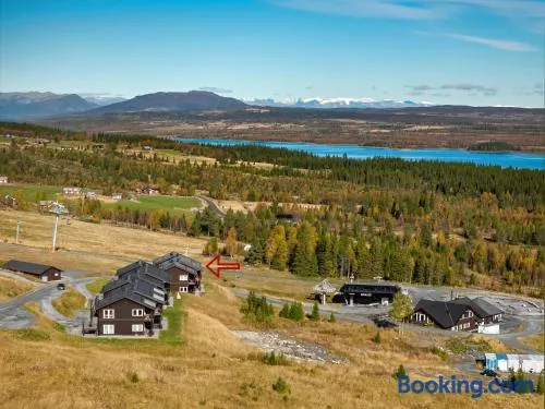 Koselig leilighet med ski in ski out på Golsfjellet - Image 1