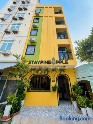 Staypineapple - Image 1