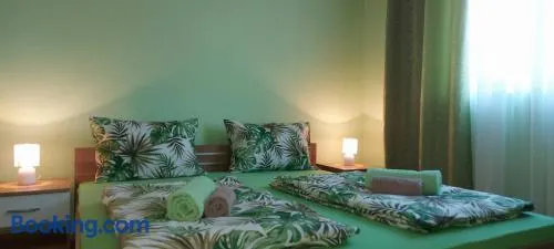 Apartman ,,Milica'' - Image 1