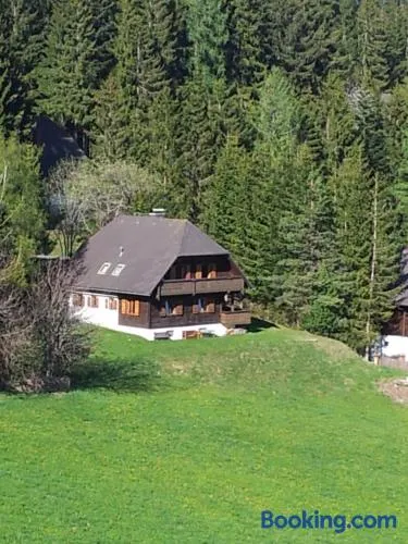 Schweighofers Almhaus - Image 1