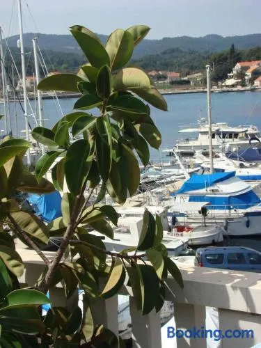 The Olive Tree - Image 1