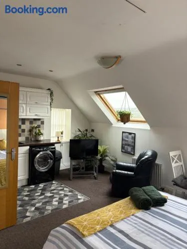 Cosy Ards Loft Apartment - Image 1