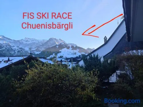 Skirennen von der Terrasse mitverfolgen - Image 1