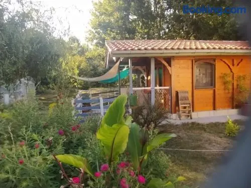 Chambre d hôte dans un magnifique chalet - Image 1
