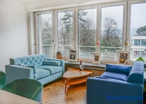 Downtown Zurich - Large, quiet private room "Jura" in homestay - Enge station - Lake & City - For 1 person - Image 1