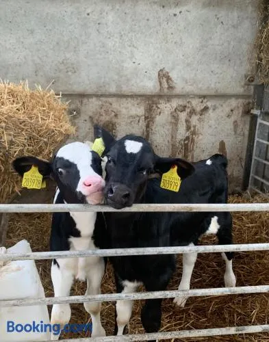 Farm stay - Image 1