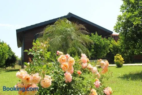 Cirali Villa's - Image 1
