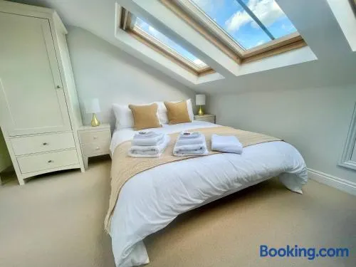 Bright Quiet Loft Room EnSuite Serene Clapham area - Image 1
