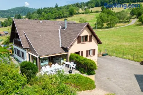 Maison de charme Haslach 300m2 Grand séjour 15 personnes - Belles vues ! - Image 1