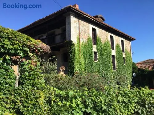 The Manor House - Image 1