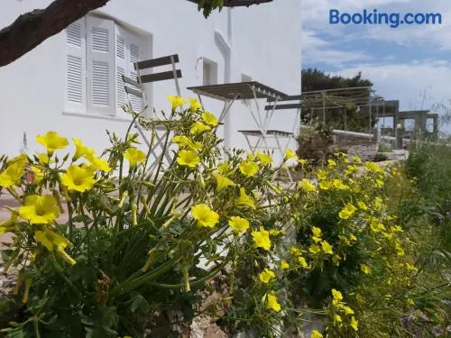 Dandelion Paros Apartments IV - Image 1