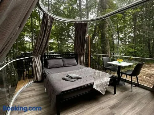 Studio Capsule House in Parry Sound #32 - Image 1