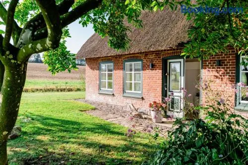 Ferienwohnung Teve - Image 1
