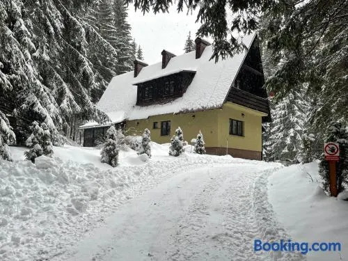 Apartmány Foresta Jasná - Image 1