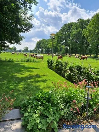 Het Broekeroord - Image 1