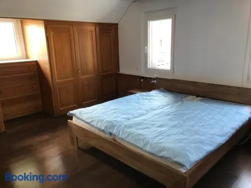 Ferienwohnung zentrale ruhige Lage auch gerne mit Kindern - Image 1