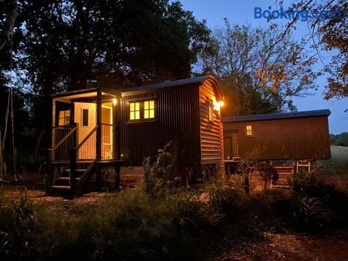 Bluebell Wood Shepherds Hut Cosy Woodland Retreat - Image 1