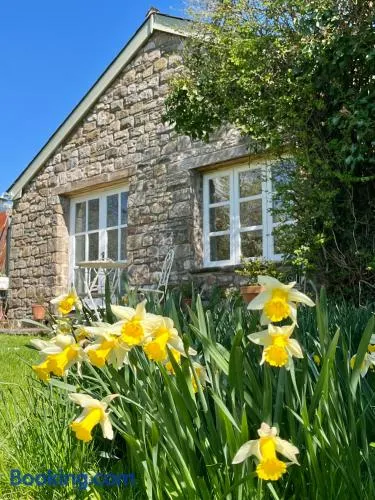 The Billiard Room - Cosy Country Retreat - Image 1