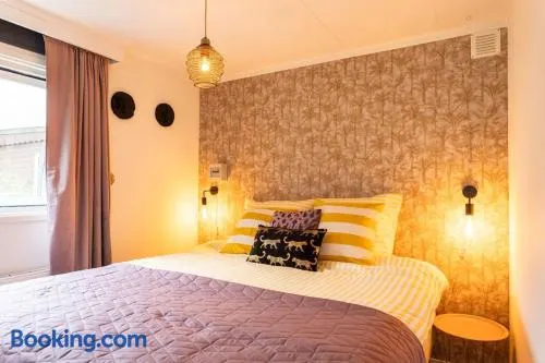 Boutique Chalet Putten op de Veluwe - Image 1