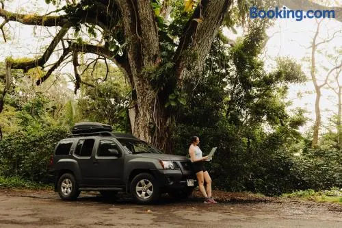 Budget Hack Maui SUV camping - Image 1
