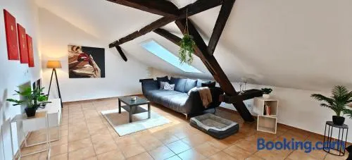 Loft mit Weiherblick im fränkischen Seenland - Image 1