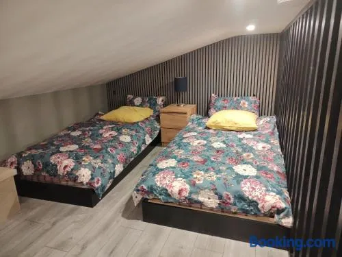 Tramway Apartment - Image 1