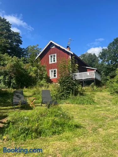 Månsarps skogs- och alpackagård - Image 1