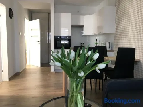 Apartamenty AP 8 - Image 1