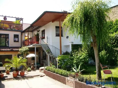 Splendido monolocale con terrazza e griglia | Ammette cani - Image 1