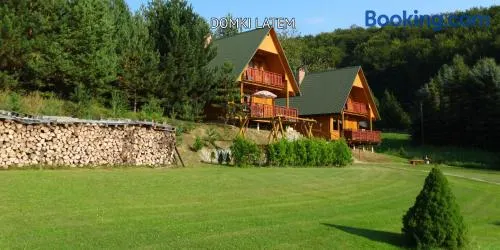 Bieszczady Sosnowa Aleja - Image 1