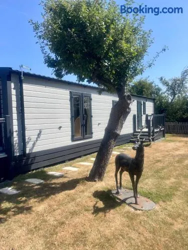Brand new Family lodge sleeps 6 - Image 1