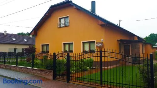 Privat Velvet - Image 1