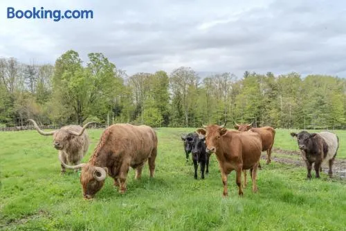 Cozy Heritage Suite for Two - With Highland Cattle - Image 1