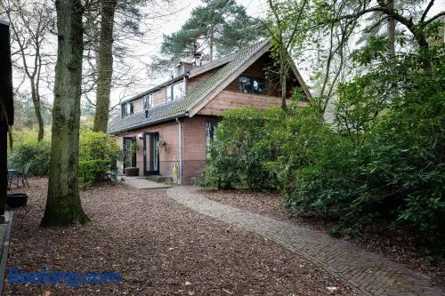 B&B Wicherumloo - Image 1
