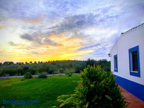 Casa de Campo, Quinta do Funchal - Image 1