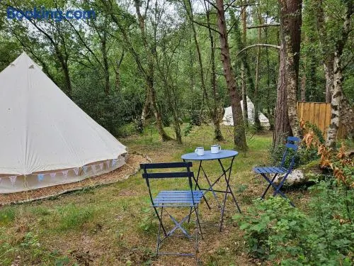 Bovey Heath Retreat - Image 1