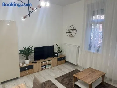 Szeged Szive Apartman - Image 1