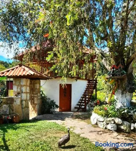 Cabaña Orquidea Campestre - Image 1
