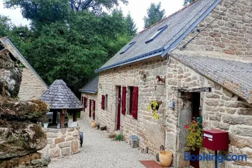 Le Breizh des Bois - Image 1